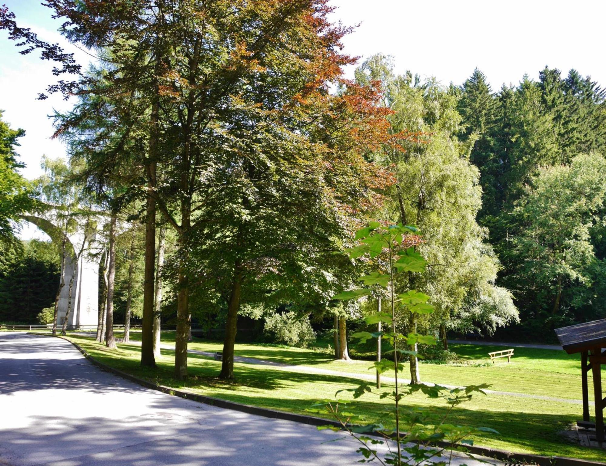 Appartement Happynest*** Mit Hallenbad Віллінген Екстер'єр фото